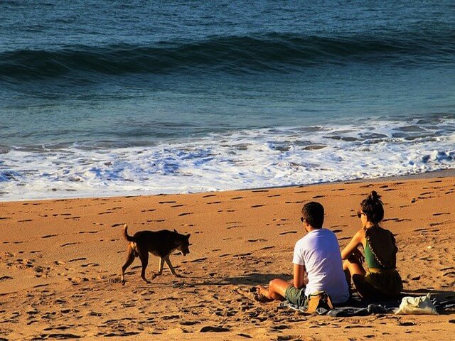 Rosie's Dog beach