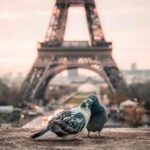Paris romantique