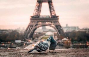 Idées de visites romantiques à Paris