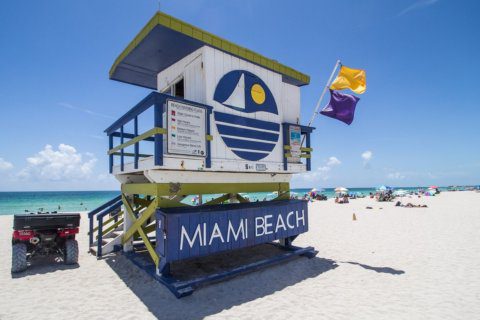 ⛱️ Notre sélection des plus belles plages de Miami