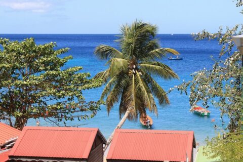 Que faire en Martinique ? Top 15 des meilleures attractions touristiques
