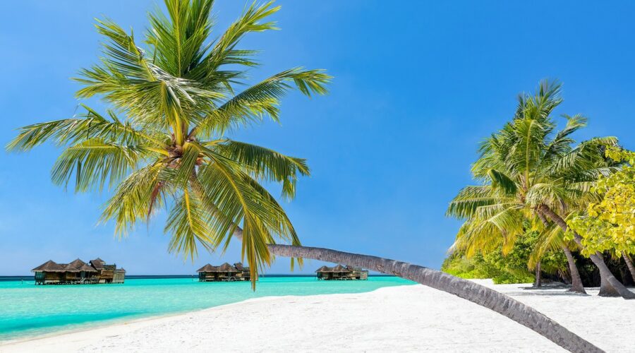 Quand partir aux Maldives ?