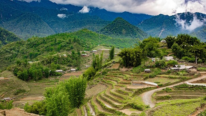rizières Sapa