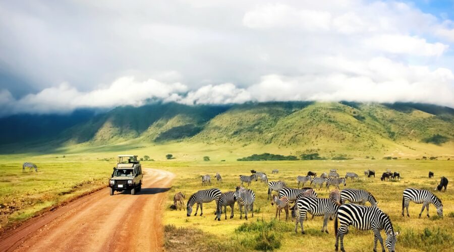 Tanzanie