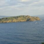 L'Île Verte - Un joyau naturel à découvrir