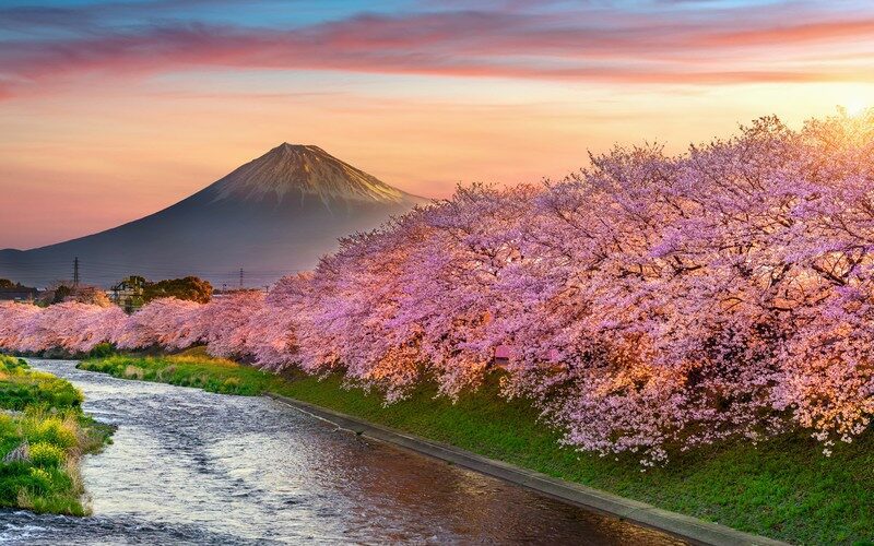 Quand partir au Japon ?