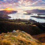 Partir au soleil en décembre en Nouvelle-Zélande : Évasion tropicale