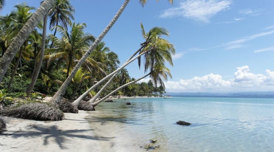 Où passer ses vacances au Costa Rica ? Entre jungle et plage, le choix idéal