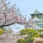 Le Japon en Mars : Célébrations des cerisiers en fleurs et événements culturels