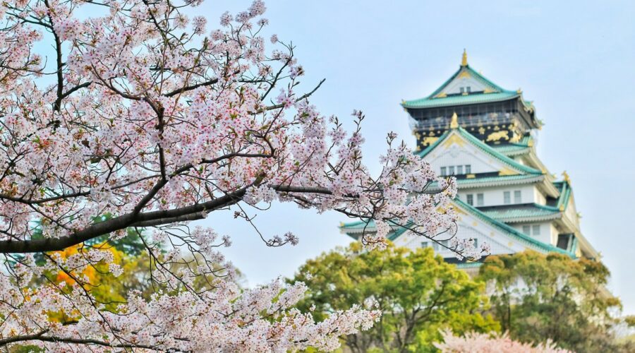 Le Japon en Mars : Célébrations des cerisiers en fleurs et événements culturels