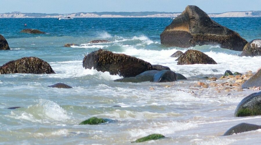 Explorez la plage des présidents aux États-Unis : Martha's Vineyard