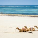 Les vraies bonnes raisons de partir sur les plages au Kenya en Avril