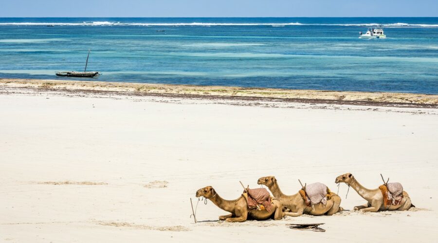 Les vraies bonnes raisons de partir sur les plages au Kenya en Avril