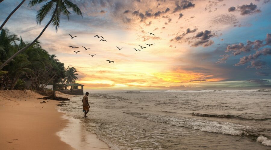 3 bonnes raisons de partir au soleil au Sri Lanka en février