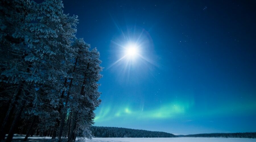 Explorez la beauté sauvage du Parc National Pallas-Yllästunturi