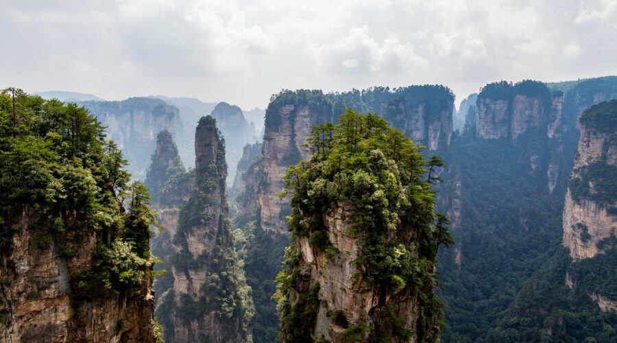 Les trésors naturels de 5 parcs nationaux en Chine