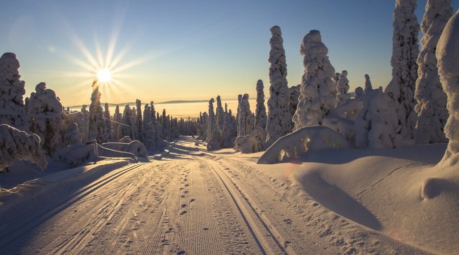 L'hiver en Finlande, une saison magique !