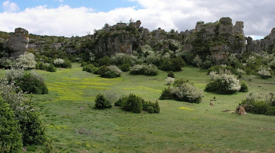 Le Causse du Larzac, pour une escapade authentique