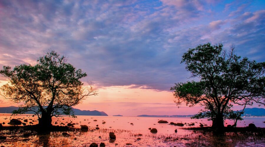 Libérez votre curiosité à Phuket : Partez à la conquête de l'inconnu !