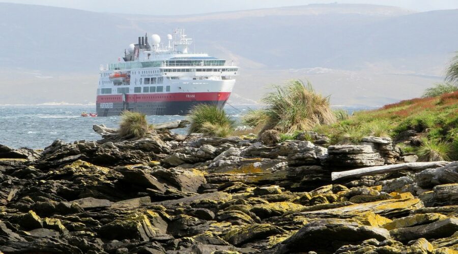 Voyage aux Îles Malouines en juin ? Sautez sur l'occasion
