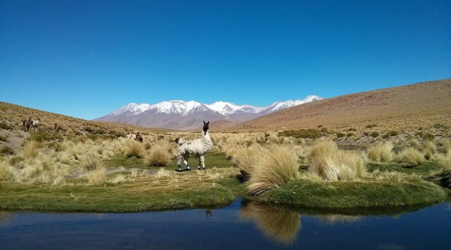 S'évader et se réinventer : L'expérience de voyager en Bolivie