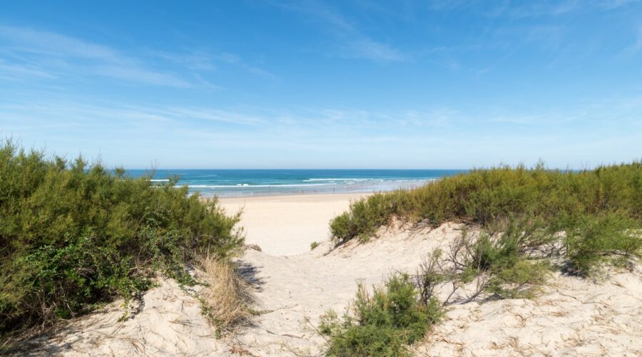 Partir au camping à Biscarrosse pour vos prochaines vacances cet été