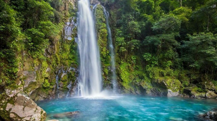Découvrez les plus belles cascades de Martinique