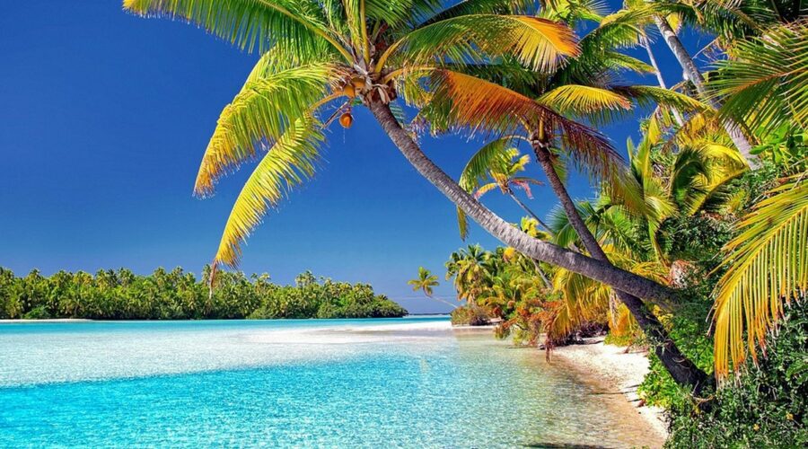 Îles Cook en juin ? Voici 6 raisons d'y partir !