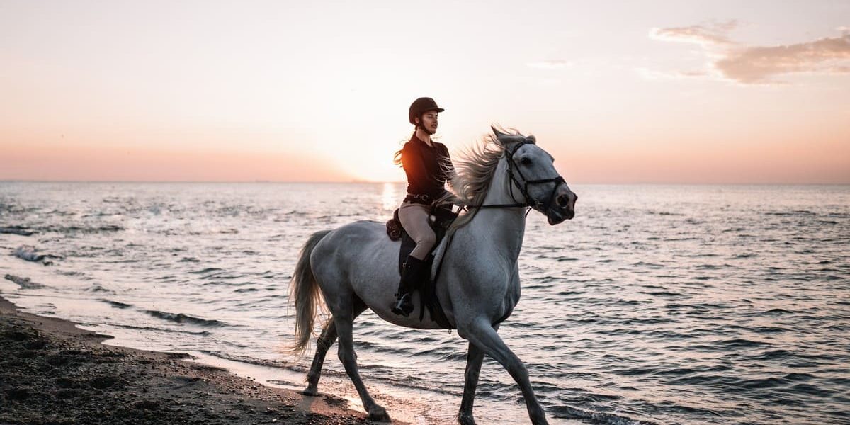 Eldorado équestre à La Baule