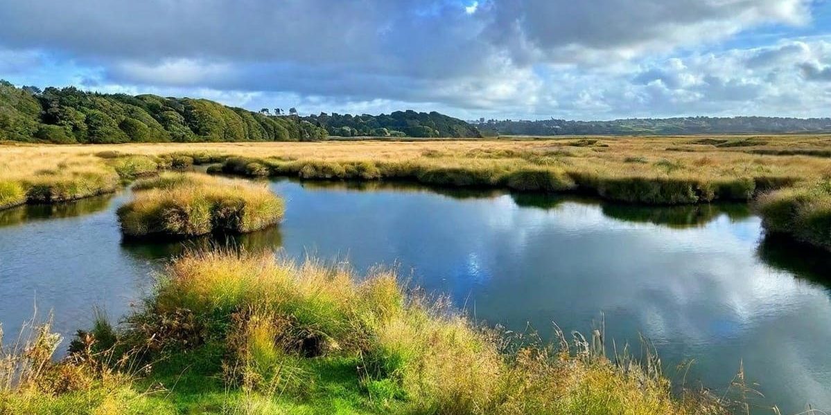 Ce marais en Normandie est un site magique, une merveille à voir absolument !