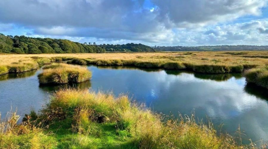 Ce marais en Normandie est un site magique, une merveille à voir absolument !