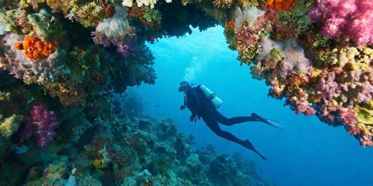 Voici les plus beaux spots où faire de la plongée en France