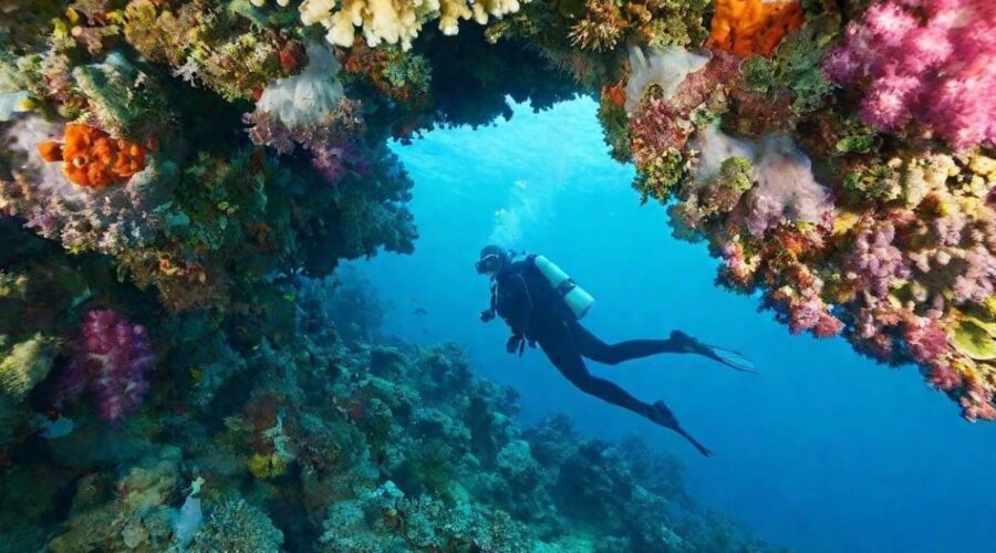 Voici les plus beaux spots où faire de la plongée en France