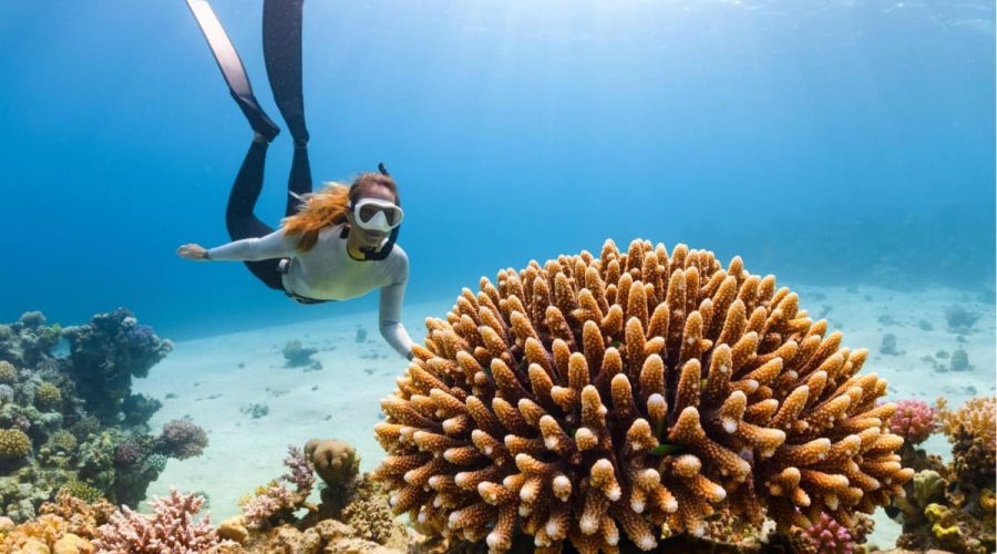 Meilleurs spots de snorkeling à Bali