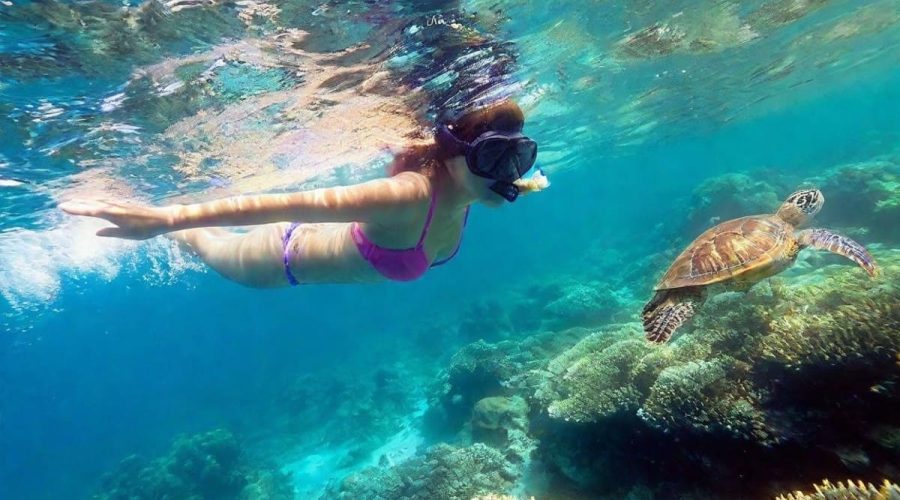 Snorkeling à Corfou