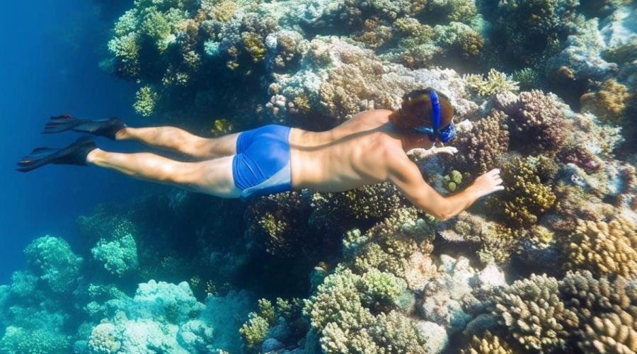 Spots de snorkeling dans le sud de la France