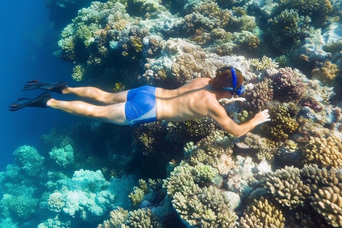 Spots de snorkeling dans le sud de la France