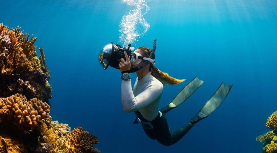 Spots de snorkeling à Hurghada en Égypte font rêver