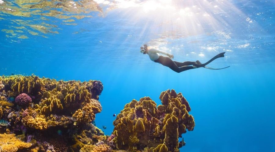 spots de snorkeling les plus époustouflants de Sicile